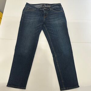 Apt. 9 Women's Dark Blue Slim Capris